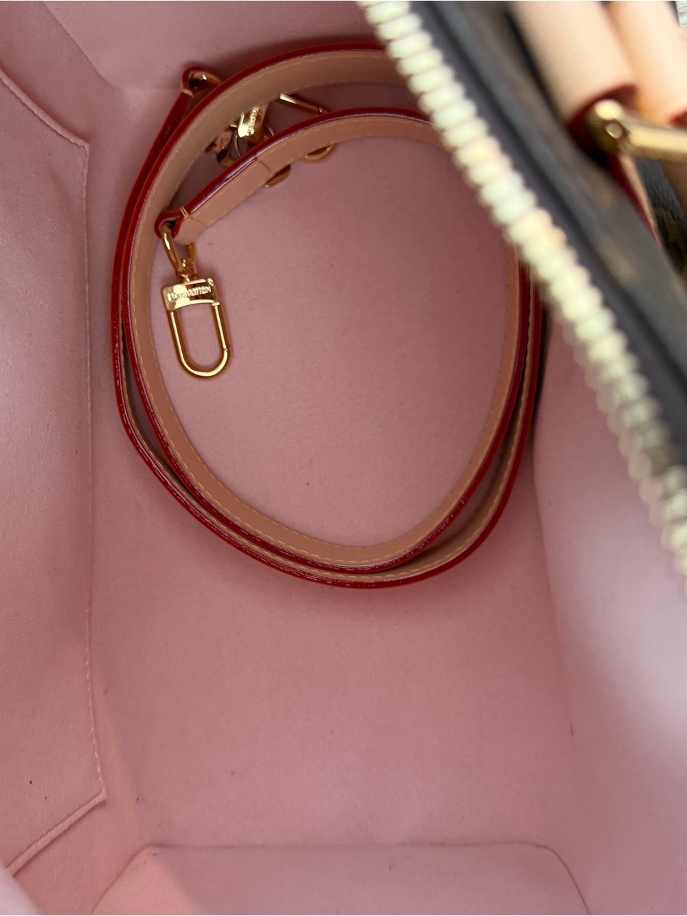 Brown Monogram Cherry Blossom Mini Bag with Pink Accents - Picture 8 of 9